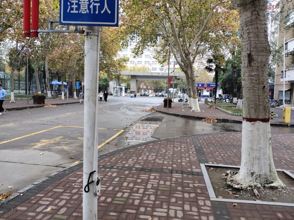 落葉后的校園路面1